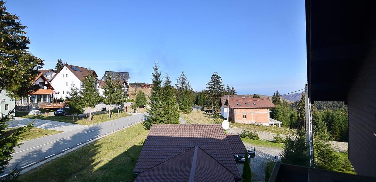 Pensiune & Restaurant Victoria Păltiniş Buitenkant foto